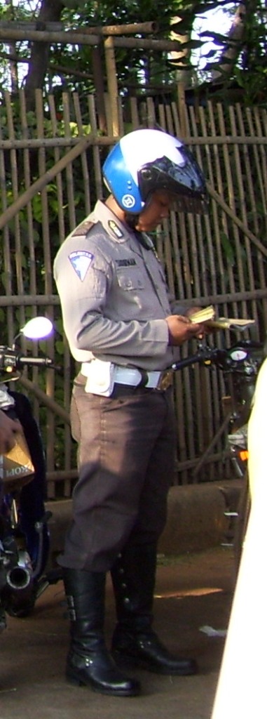 Pemutihan denda
